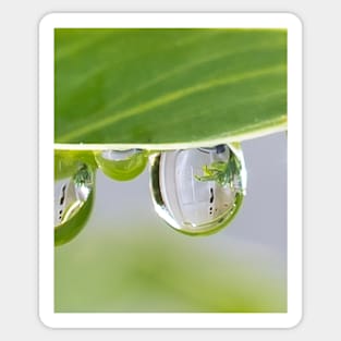 Water Droplet with Reflection Sticker